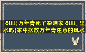 🐦 万年青死了影响家 🌸 里风水吗(家中摆放万年青注意的风水知识)
